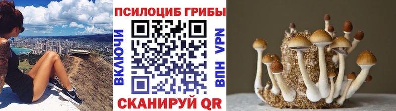 Галлюциногенные грибы прущие грибы  Псков 